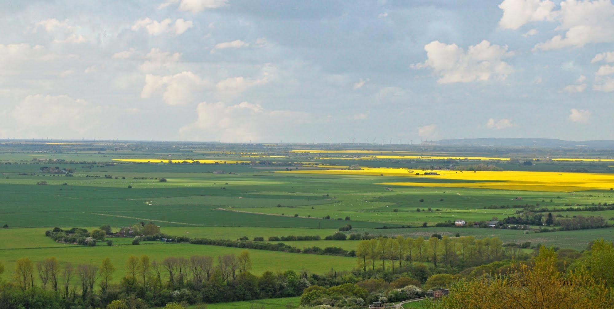 Bear Lodge - Glamping Lympne Εξωτερικό φωτογραφία